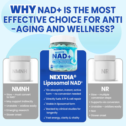 Liposomal Nad+ Supplement for Women, Men - Max Absorption Nad Gummies Plus Resveratrol, Fisetin, Quercetin, TMG, Caffeine, B12 for Aging Defense, Energy & DNA Repair, Skin, Brain, Antioxidant - 60Cts - Maple Wellness Supplements