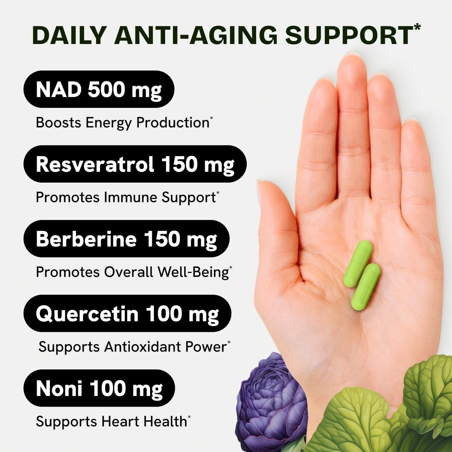 Liposomal NAD Supplement for Women w/Noni | 5-in-1 NAD Resveratrol Supplement w/Berberine & Quercetin | Pure NMN Powder Alternative | Supports Anti Aging & NAD+ Levels | 60 caps - 1 Pack - Maple Wellness Supplements
