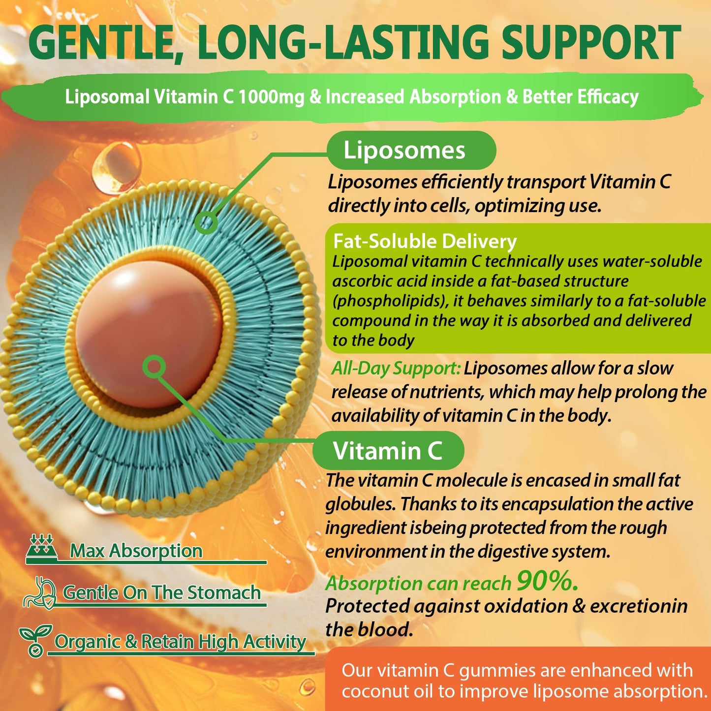 Liposomal Vitamin C 1000mg Gummies for Adults - Vitamin C Chewable with Elderberry, Zinc & 8mg Iron, Sugar Free Vit C Supplements, Daily Immune Support Gummies for Energy - Maple Wellness Supplements
