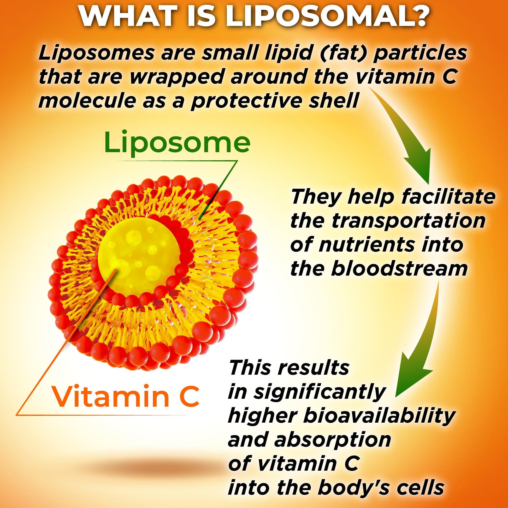 Liposomal Vitamin C Capsules - 1500mg - Made with Organic Acerola Cherries & Camu Camu, High Potency Vitamin C Liposomal - Immune Support Supplement - Maple Wellness Supplements