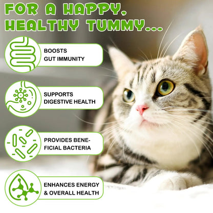 Liquid Cat Probiotic, Natural 3 in 1 Probiotic for Cats, Cat Digestive Support,Gut Health Support,Help with Diarrhea,Gas and Bloating, Cat Herbal Supplements- 60ml - Maple Wellness Supplements