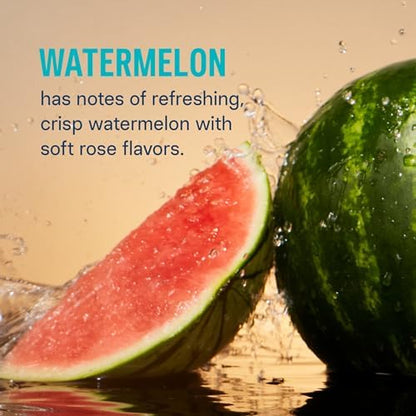 Liquid I.V.® Hydration Multiplier® - Watermelon | Electrolyte Powder Drink Mix | 1 Pack (16 Servings) - Maple Wellness Supplements