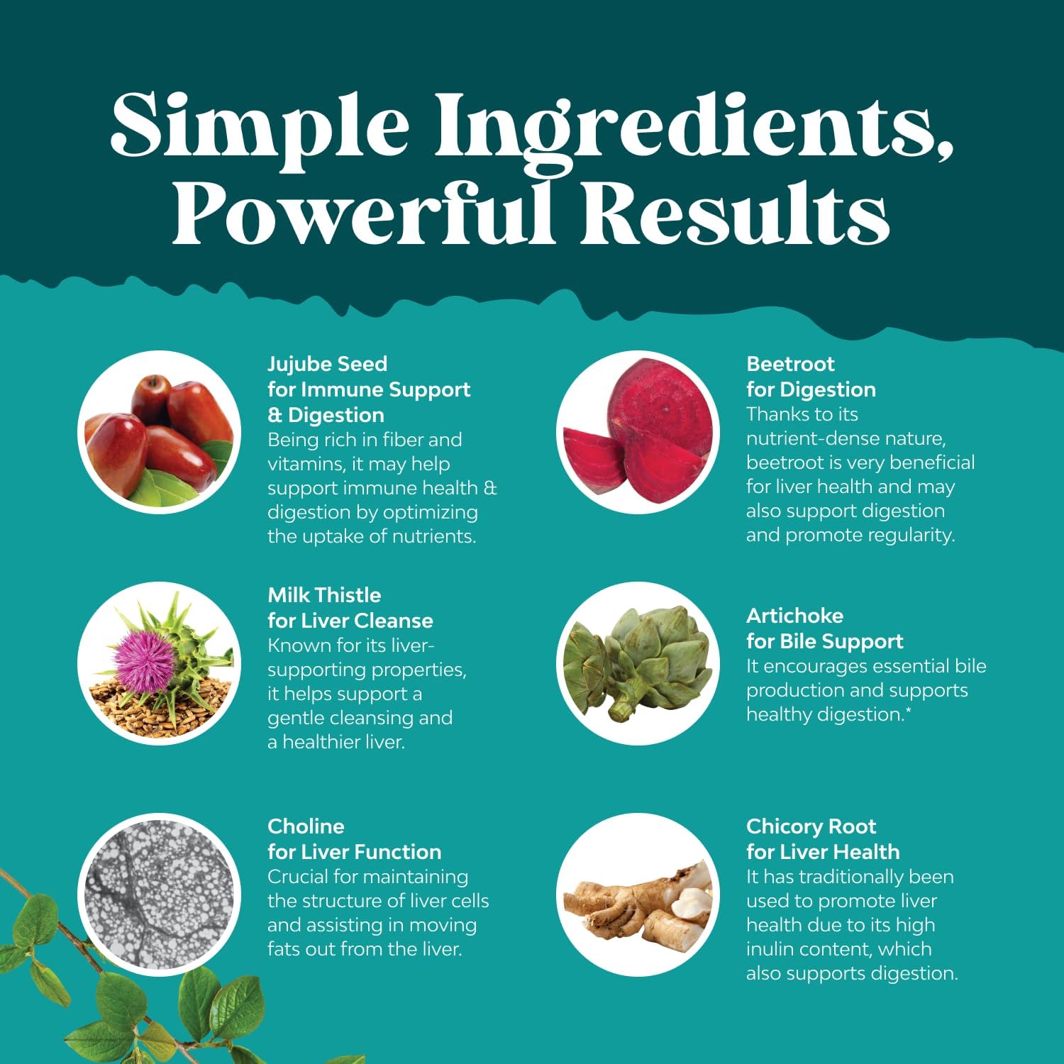 Liver Cleanse Detox & Repair - Milk Thistle Supplement for Digestion & Immune Health - Ginger Root, Choline & Dandelion Root - Maple Wellness Supplements
