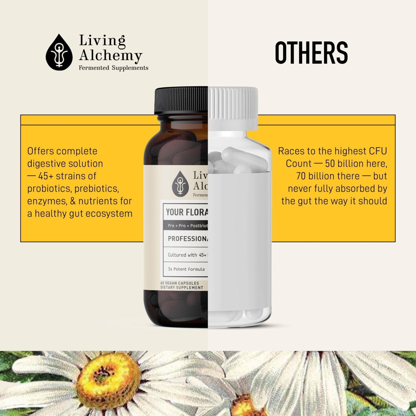 Living Alchemy Gut Health Supplements for Men & Women - Your Flora Probiotic Professional Digestion Supplement with Fermented Soybean, Prebiotics, - Maple Wellness Supplements