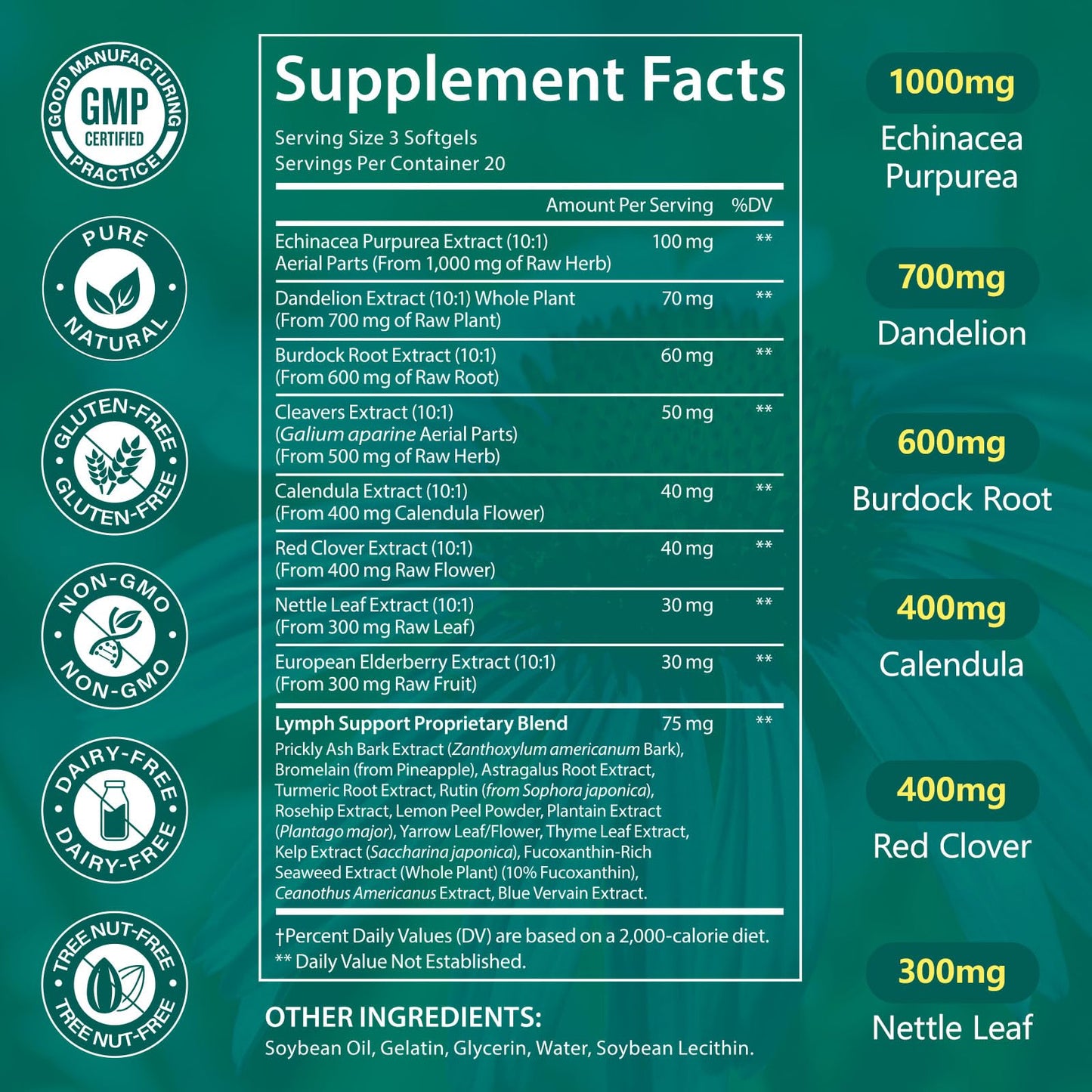 LTQXGT Lymphatic Support Supplement 60 Softgels– Advanced Botanical Complex with Echinacea, Dandelion & Elderberry – Antioxidant-Rich Daily Wellness Formula - Maple Wellness Supplements