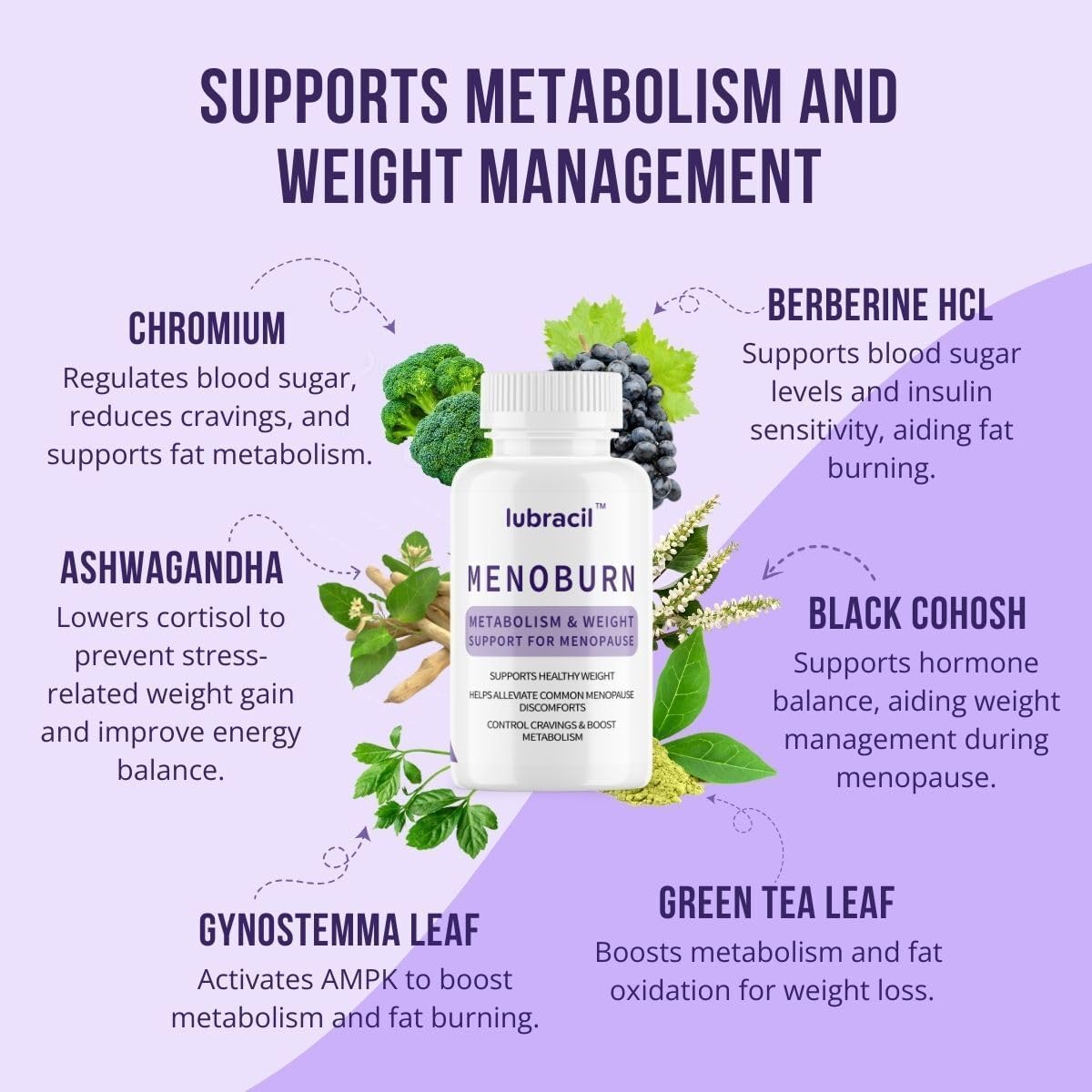 Lubracil Menoburn Perimenopause & Menopause Supplements for Women – Helps Metabolism, Estrogen & Wellness – Targets Hot Flashes, Bloating & Energy – 120 Count, 2 Pack - Maple Wellness Supplements