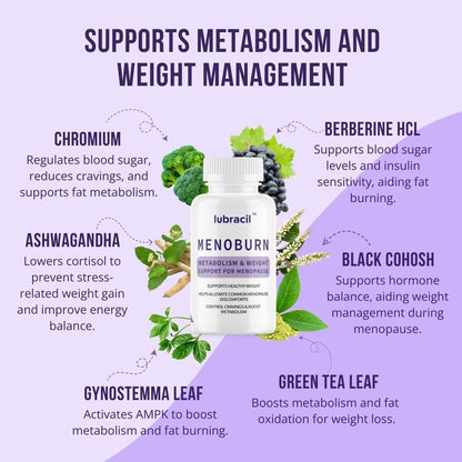 Lubracil Menoburn Perimenopause & Menopause Supplements for Women – Helps Metabolism, Estrogen & Wellness – Targets Hot Flashes, Bloating & Energy – 120 Count, 2 Pack - Maple Wellness Supplements