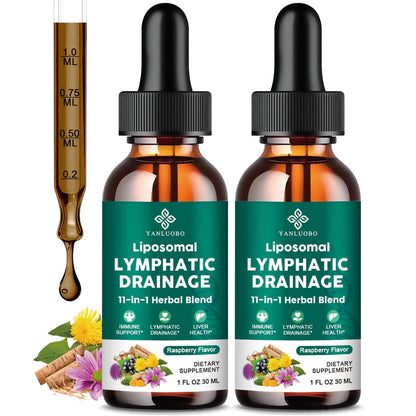 Lymphatic Drainage Drops - 11 in 1 Lymphatic Supplement for Immune, Lymph System & Liver Detox - with Echinacea, Horse Chestnut, Dandelion, Elderberry & Burdock - Raspberry Flavor, Vegan, 2 Fl Oz - Maple Wellness Supplements