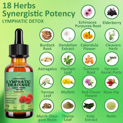 Lymphatic Drainage Drops, 18-in-1 Herbal Lymph System Support w. Echinacea Elderberry Dandelion Burdock Root Cleavers for Lymphatic Cleanse Detox Immune Support, Liposoaml for Max Absorption - Maple Wellness Supplements