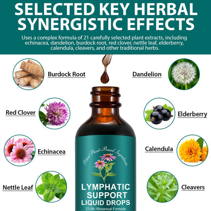 Lymphatic Drainage Drops, Natural Lymph Cleanse & Immune Support Supplement with Echinacea, Dandelion, Elderberry, Cleavers, Astragalus & Burdock, 2 FL OZ (1) - Maple Wellness Supplements