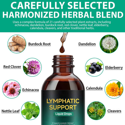 Lymphatic Drainage Drops, Support Supplement with Echinacea, Dandelion, Elderberry, Cleavers, Astragalus, Burdock & More, 2 FL OZ - Natural Lymphatic Cleanse & Immune Support - Maple Wellness Supplements