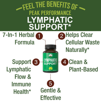 Lymphatic Drainage Supplement. 7-in-1 Lymph System Support Capsules to Detox & Cleanse. with Vegan Ingredients Echinacea Root, Red Clover Blossom, Burdock Root, Red Root, Licorice Root for Women, Men - Maple Wellness Supplements