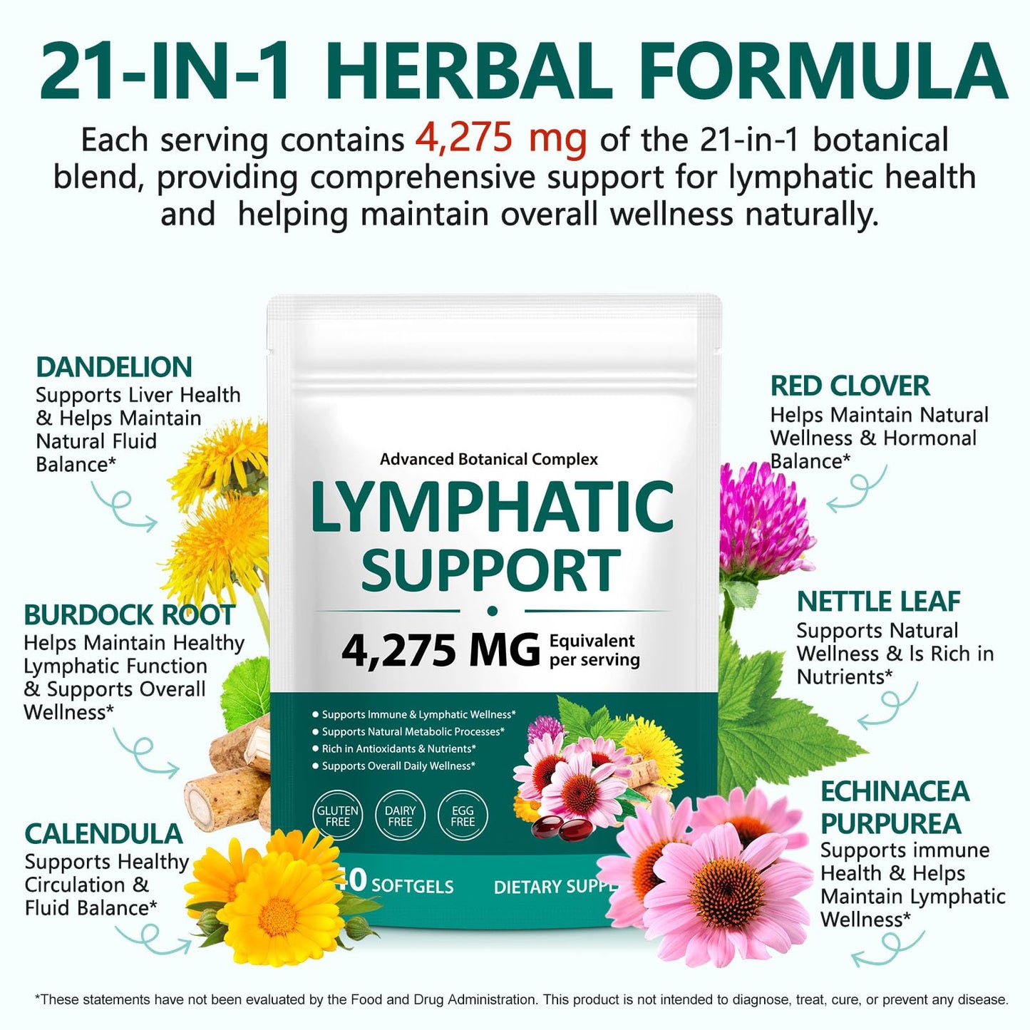 Lymphatic Drainage Supplements, 240 Softgels, Lymph System Support Supplement for Women & Men, 21-in-1 Herbal Blend with Echinacea, Burdock Root, Dandelion, Turmeric for Fluid Balance & Immune Support - Maple Wellness Supplements