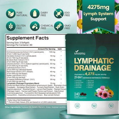 Lymphatic Drainage Supplements, 240 Softgels, Lymph System Support Supplement for Women & Men, 21-in-1 Herbal Blend with Echinacea, Dandelion, Burdock - Maple Wellness Supplements