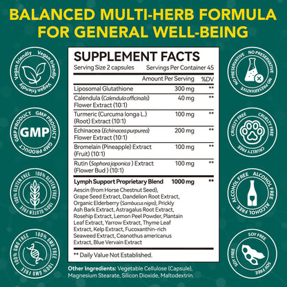 Lymphatic Drainage Supplements, Lymphatic Drainage Capsules - Wellness Complex 21 in 1 Aescia, Turmeric, Bromelain, Echinacea & More - Lymph System Support Capsules - Maple Wellness Supplements