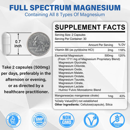 Magnesium Complex Supplement 8 Forms, 500mg Magnesium Glycinate, Malate, Citrate, High Absorption Mg for Calm, Sleep, Mood & Healthy Muscle, Pack of 2, Total 120 Vegan Capsules - Maple Wellness Supplements