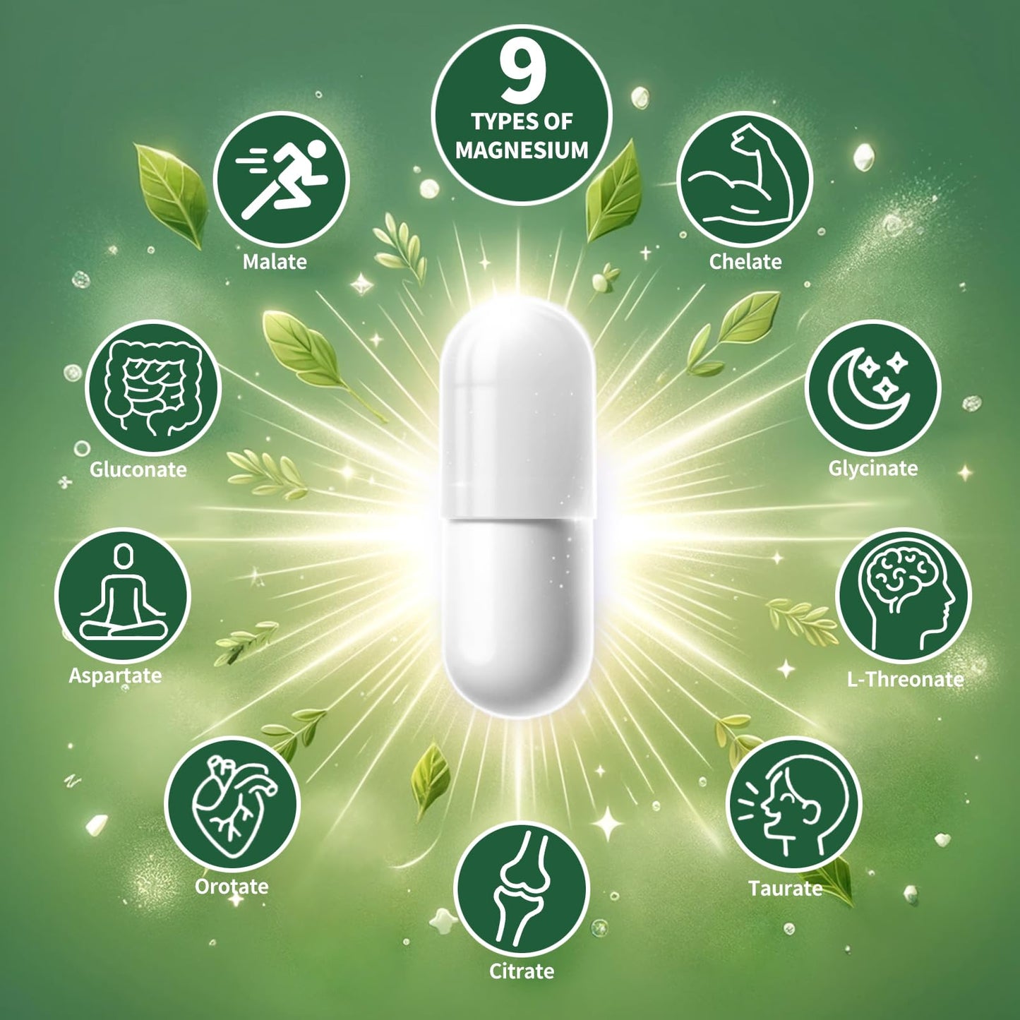 Magnesium Supplement with 9 Forms of High Absorption Magnesium Glycinate, L-threonate, Citrate, Malate and More for Muscle, Brain Support, Non-GMO, Gluten & Soy Free, 60 Capsules - Maple Wellness Supplements