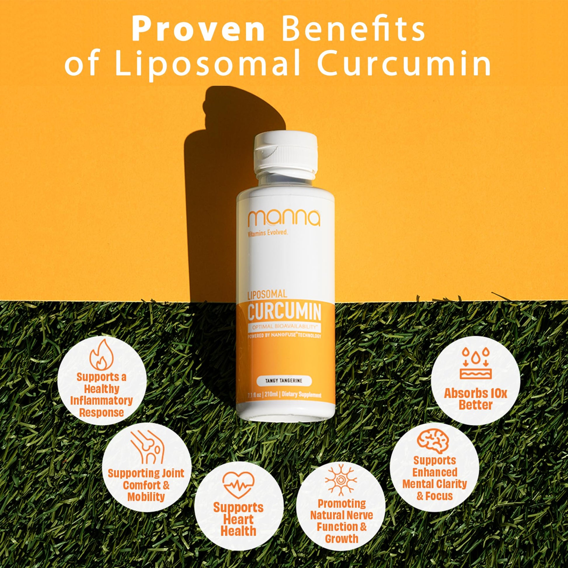 Manna Vitamins Evolved Liposomal Liquid Curcumin for Advanced Absorption Best Turmeric Supplement for Daily Joint & Immune Health Support - Vegan, Non-GMO, 95% Curcuminoids (1 Pack) - Maple Wellness Supplements