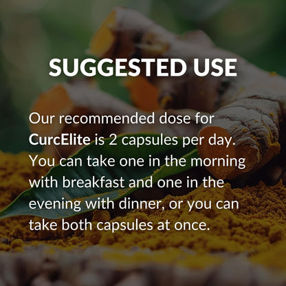 Mara Labs CurcElite Curcumin | Turmeric Extract 95% Curcuminoids | Vegan, No Fillers, and Non-GMO | 60 Vegan Capsules - Maple Wellness Supplements