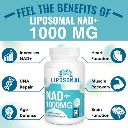Maripolio Liposomal NAD+ 1000 mg Supplement | High Bioavailability Liposomal Delivery | Cellular Energy & Wellness Support | Pure NAD+ Dietary Supplement for Men,Women, 60 Softgels - Maple Wellness Supplements