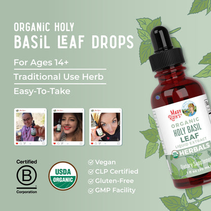 MaryRuth Organics Holy Basil Sugar Free | Tulsi Holy Basil Herbal Liquid Drops | Antioxidant | Cognitive Function | Digestive Support | Energy Levels | Vegan | Non-GMO | 1 Fl Oz - Maple Wellness Supplements