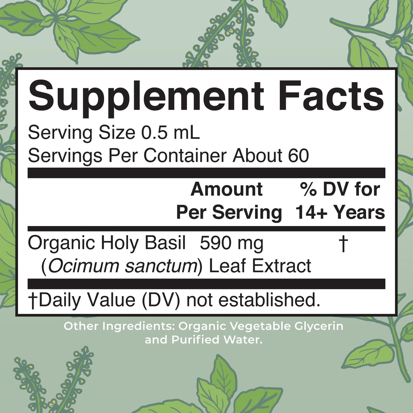 MaryRuth Organics Holy Basil Sugar Free | Tulsi Holy Basil Herbal Liquid Drops | Antioxidant | Cognitive Function | Digestive Support | Energy Levels | Vegan | Non-GMO | 1 Fl Oz - Maple Wellness Supplements