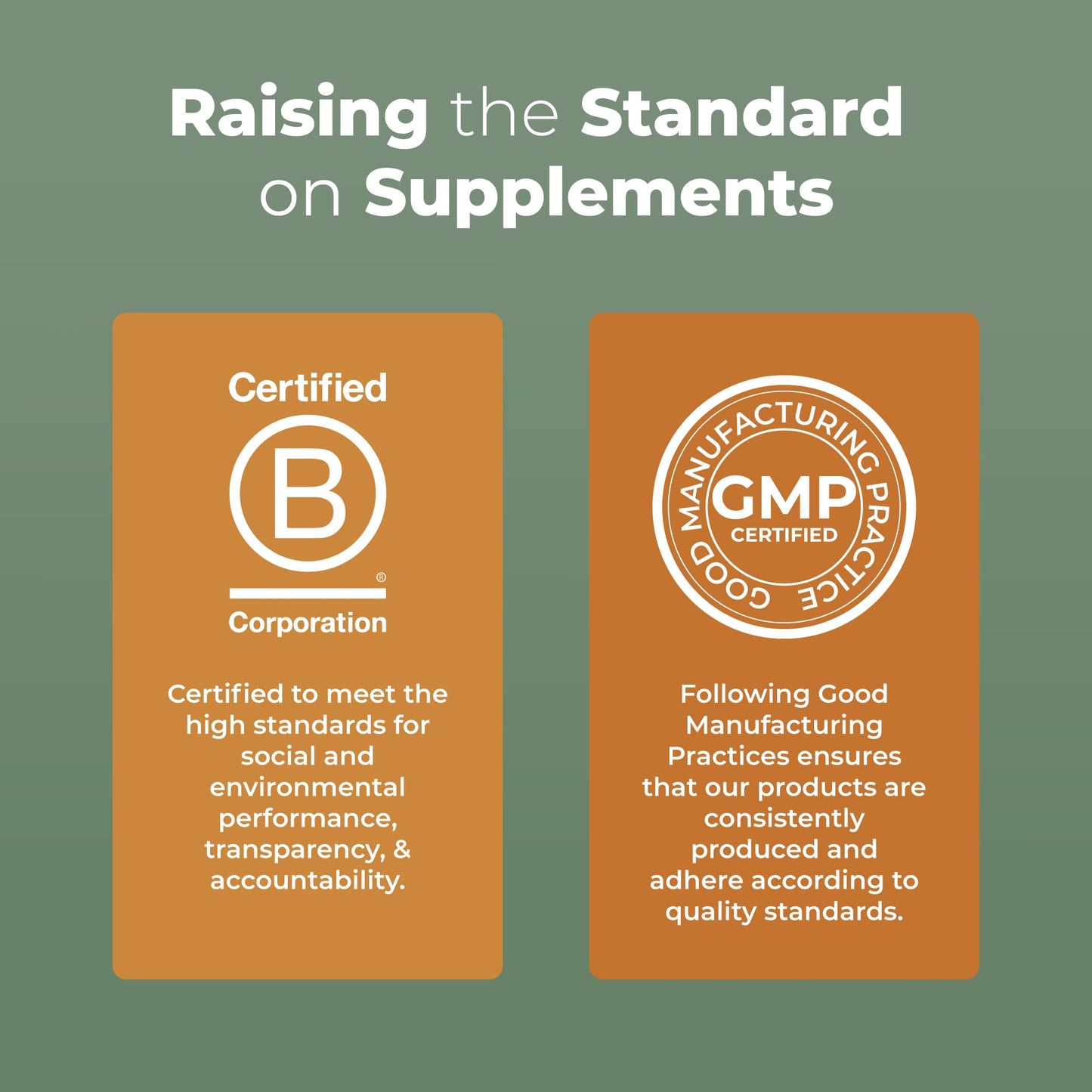 MaryRuth Organics Reishi Vegan Mushroom Supplement | Ultra Absorption Liposomal | Immune Support with 200mg Beta-Glucans, Vegan |Full Spectrum Reishi Mushrooms Fruiting Body | 7.6 oz, - Maple Wellness Supplements
