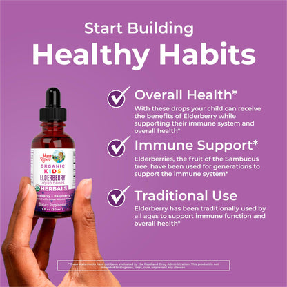 MaryRuth Organics USDA Organic Elderberry Liquid Drops for Kids | Vegan Elderberry Extract Organic Glycerin | Immune Support Supplement | Overall Health | Formulated for Ages 4-13 | 1oz - Maple Wellness Supplements