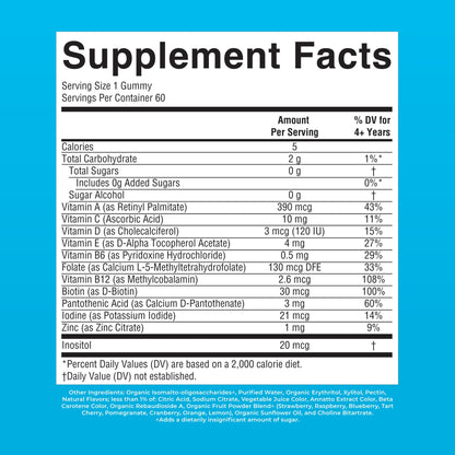 MARYRUTH'S Kids Vitamins | Multi | Sugar Free | 2 Month Supply | Kids Multivitamin Gummies for Ages 2+ | Vegan | Only 1 Gummy a Day | 60 Count - Maple Wellness Supplements