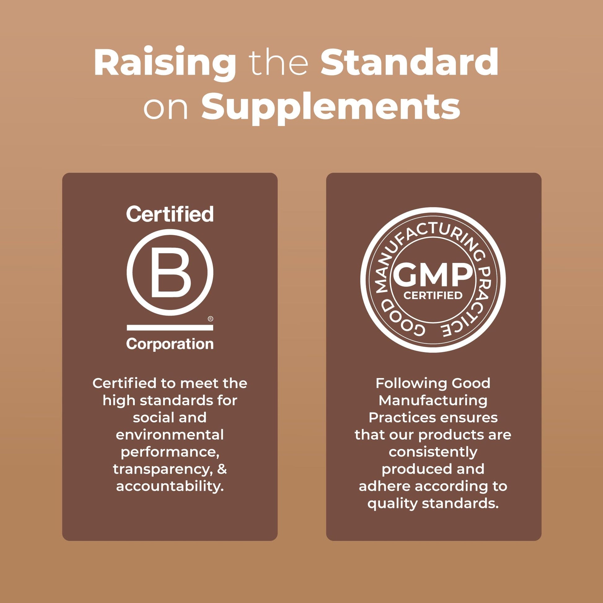 MaryRuth's Mushroom Complex | Lion's Mane | Turkey Tail | Reishi Mushroom | Shiitake Mushrooms | Alcohol Free | Mushroom Blend | Organic | Non-GMO | Vegan | 30 Servings - Maple Wellness Supplements