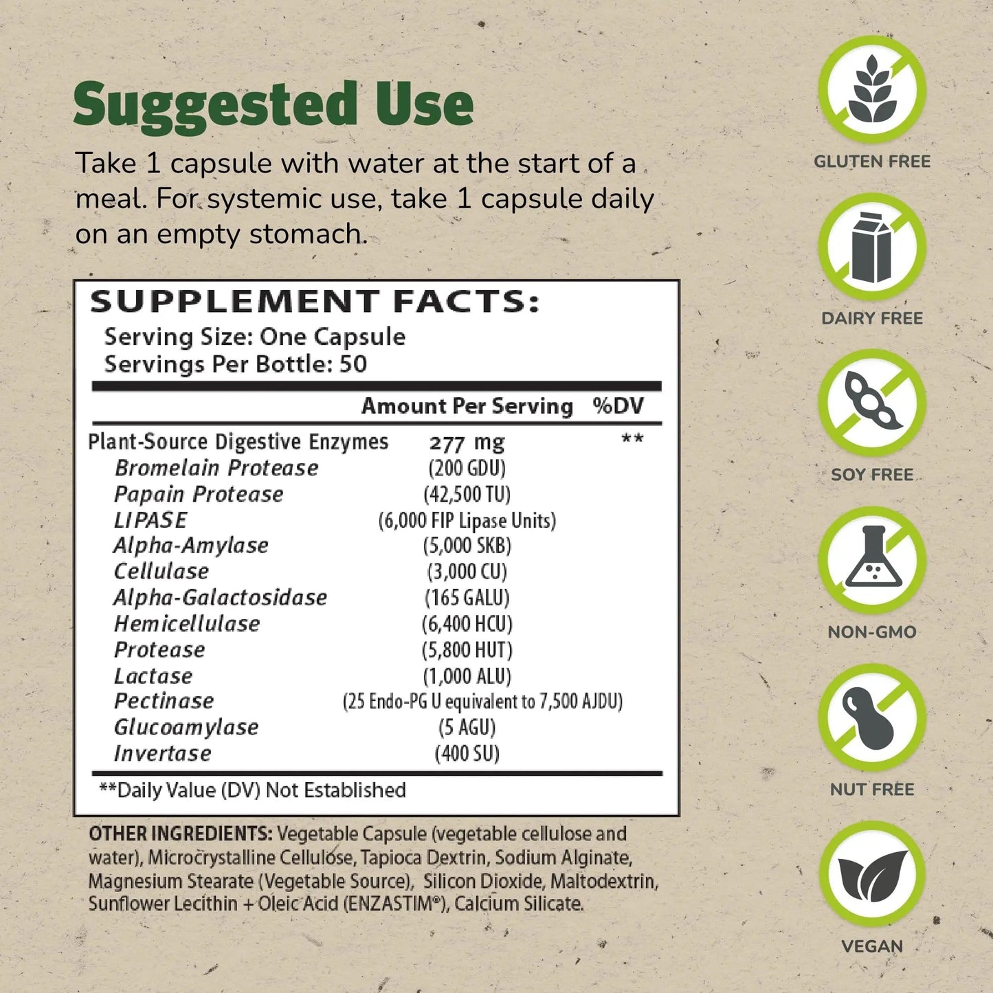 Master Supplements Enzalase - 50 Capsules, Pack of 3 - Probiotic Compatible Enzymes - Provides Digestive Boost + Gas & Bloating Relief - Gluten Free - 150 Total Servings - Maple Wellness Supplements