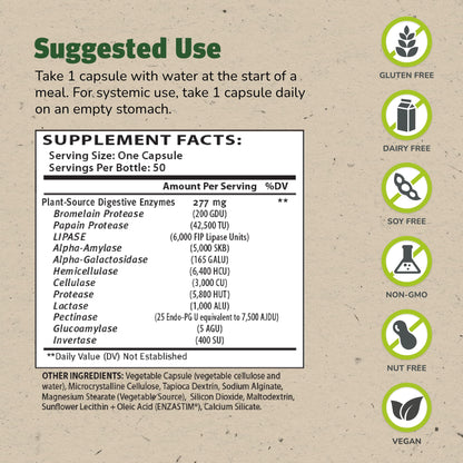 Master Supplements Enzalase - 50 Capsules - Probiotic Compatible Enzymes - Provides Digestive Boost + Gas & Bloating Relief - Gluten Free - 50 Servings - Maple Wellness Supplements