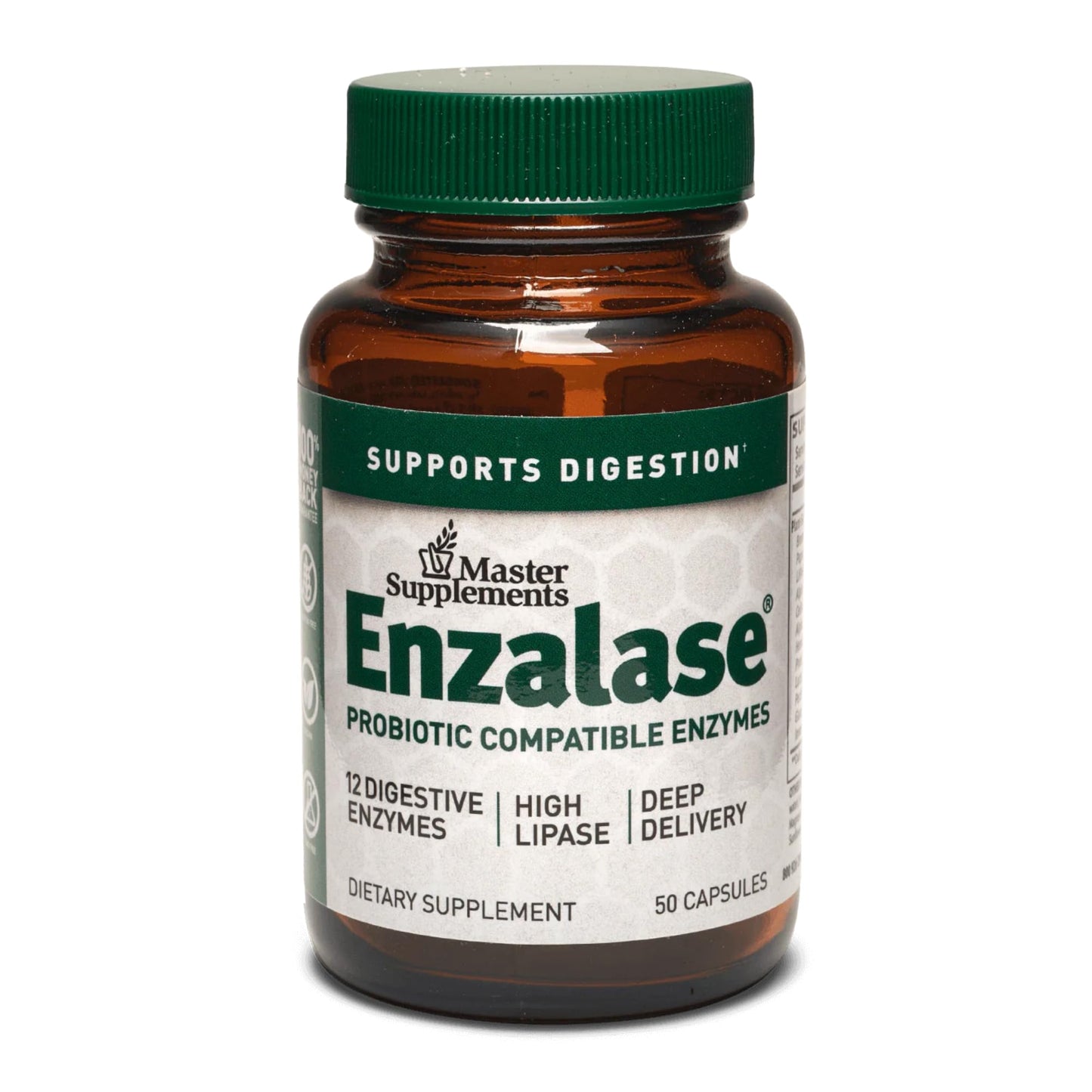 Master Supplements Enzalase - 50 Capsules - Probiotic Compatible Enzymes - Provides Digestive Boost + Gas & Bloating Relief - Gluten Free - 50 Servings - Maple Wellness Supplements