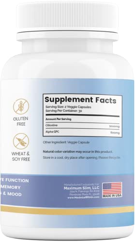 Maximize Within Alpha GPC + Citicoline 60 Ct, 1600mg Concentrated Formula- 99%+Highly Purified & Bioavailable Nootropic-Cognitive Enhancer, Supports Memory, Brain Function, Boosts Focus, Mood & Energy - Maple Wellness Supplements