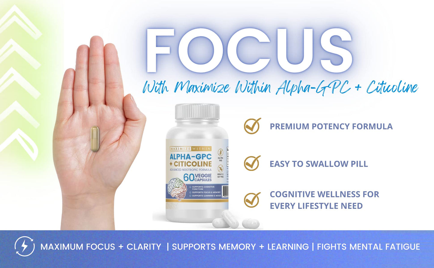 Maximize Within Alpha GPC + Citicoline 60 Ct, 1600mg Concentrated Formula- 99%+Highly Purified & Bioavailable Nootropic-Cognitive Enhancer, Supports Memory, Brain Function, Boosts Focus, Mood & Energy - Maple Wellness Supplements