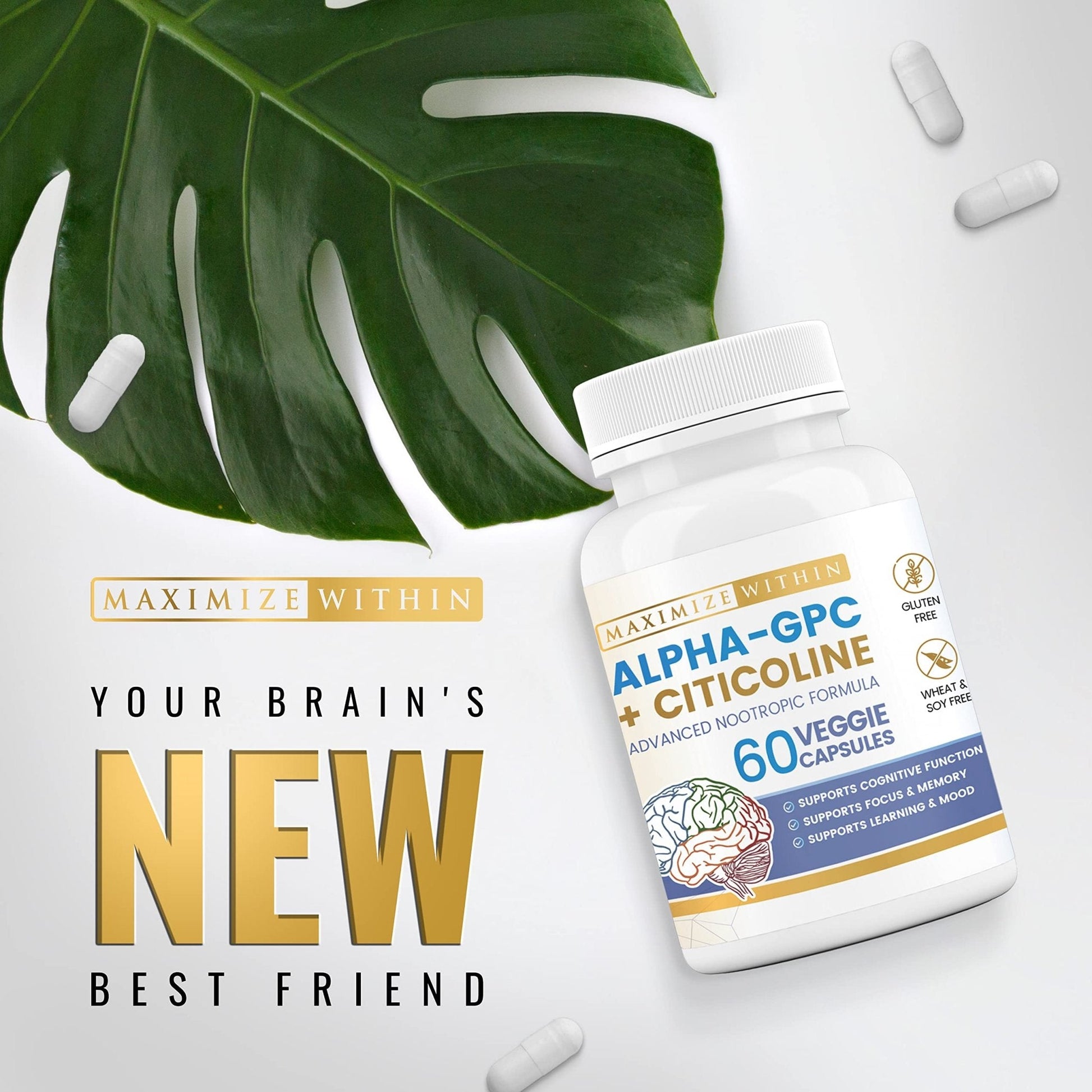 Maximize Within Alpha GPC + Citicoline 60 Ct, 1600mg Concentrated Formula- 99%+Highly Purified & Bioavailable Nootropic-Cognitive Enhancer, Supports Memory, Brain Function, Boosts Focus, Mood & Energy - Maple Wellness Supplements