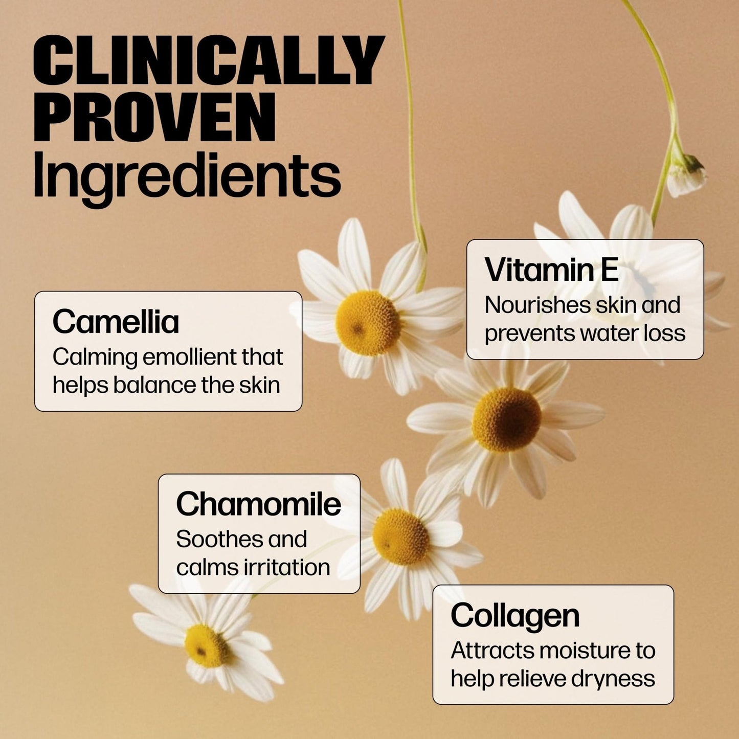 Medicine Mama's Apothecary Vmagic Gentle Feminine Wash pH Balanced to Cleanse and Rejuvenate Intimate Skin with Chamomile, Collagen, Vitamin E and Sage – Hormone Free — 8 oz - Maple Wellness Supplements