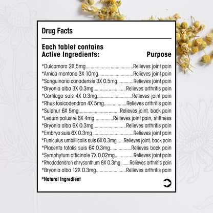 MediNatura Whole Body + Joints Bundle T-Relief Arnica +12 Natural Arthritis Pain Tablets 100ct + T-Relief Arnica +12 Natural Pain Relieving Tablets 100ct - Maple Wellness Supplements