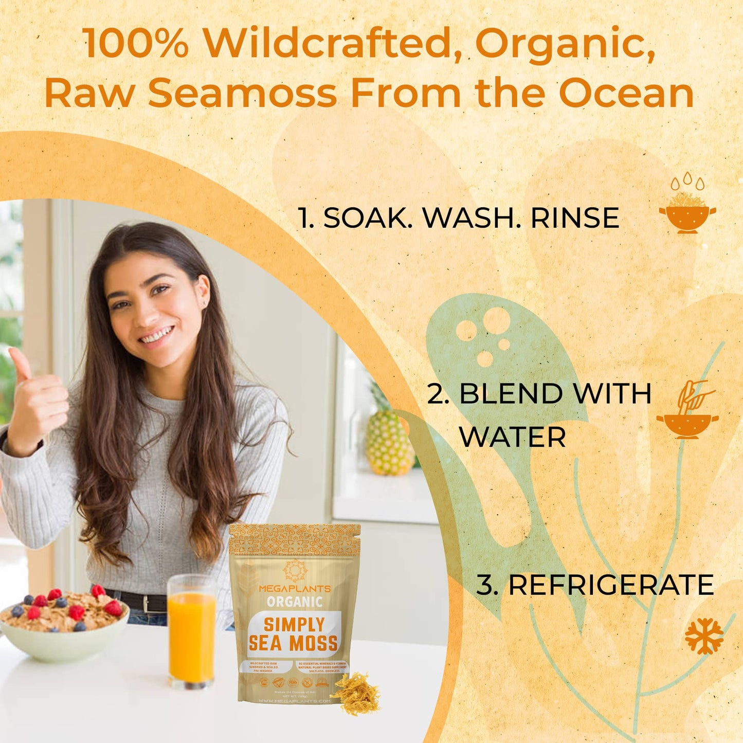 MEGAPLANTS Organic Sea Moss | Makes 228 Servings of Seamoss Gel | Pre-Washed - Maple Wellness Supplements