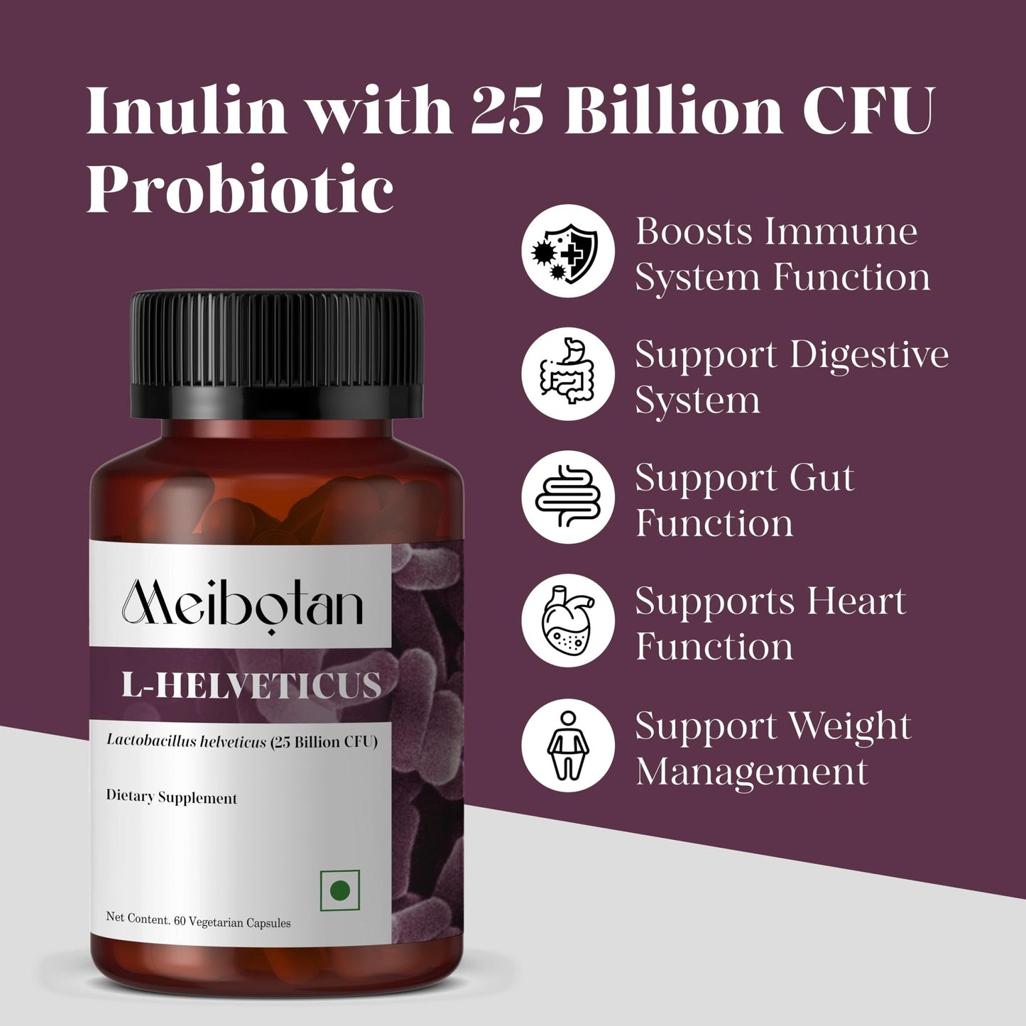 MEIBOTAN L-Helveticus Probiotic Bacteria with 25 Billion CFU for Women & Men, Helps Digestion, Nutrient Absorption and Fight Bad Bacterias - 60 Veggie Capsules - Maple Wellness Supplements