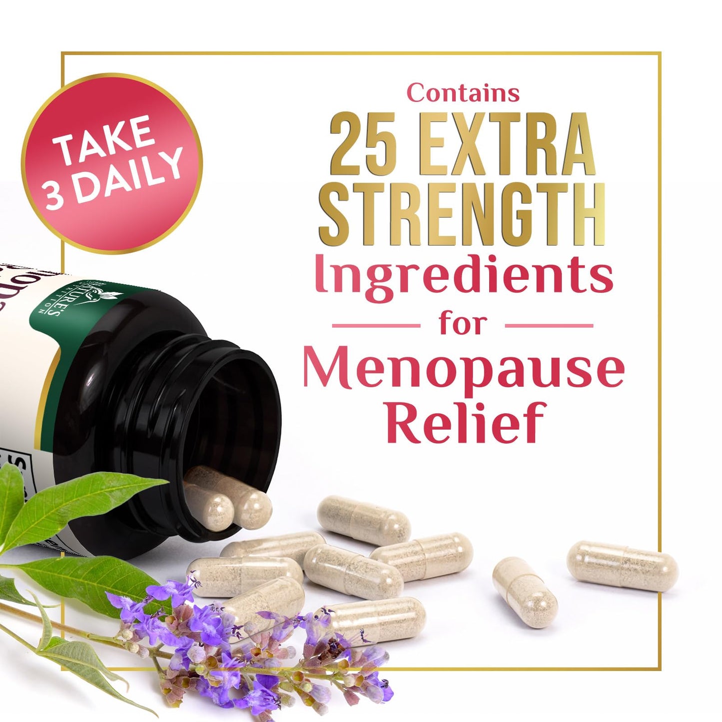 Menopause Supplement for Women - Natural Menopause Relief Support for Mild Hot Flashes & Night Sweats - Best Probiotics for Women, Dong Quai, Black Cohosh, Ashwagandha - Bottled in USA - 60 Capsules - Maple Wellness Supplements