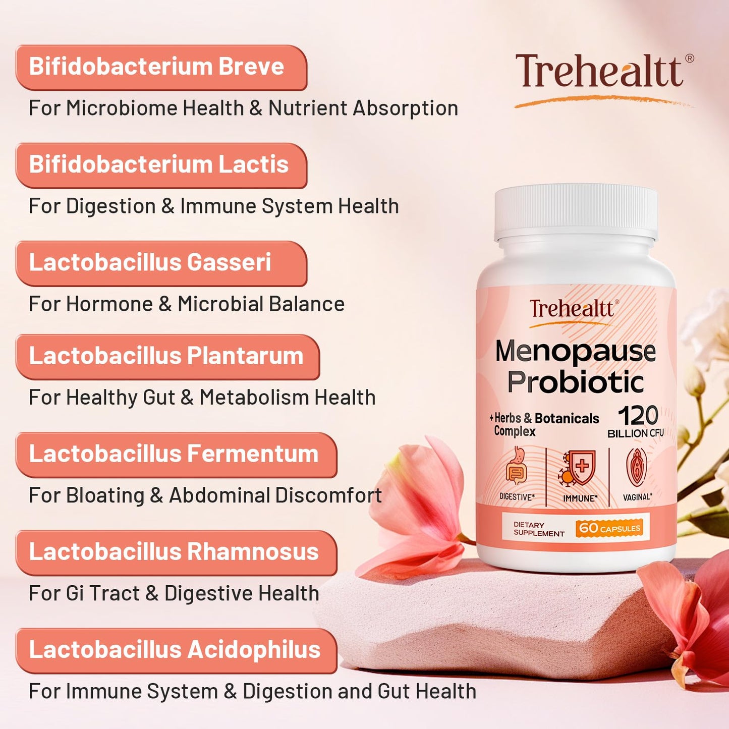 Menopause supplements for women, 120 Billion CFU Probiotic, 13-in-1 Herbs & Botanicals Complex, for Hormone Menopause, Hot Flashes, Night Sweats, Mood Swings, Sleep Disturbances, Vegan, 60 Capsules - Maple Wellness Supplements