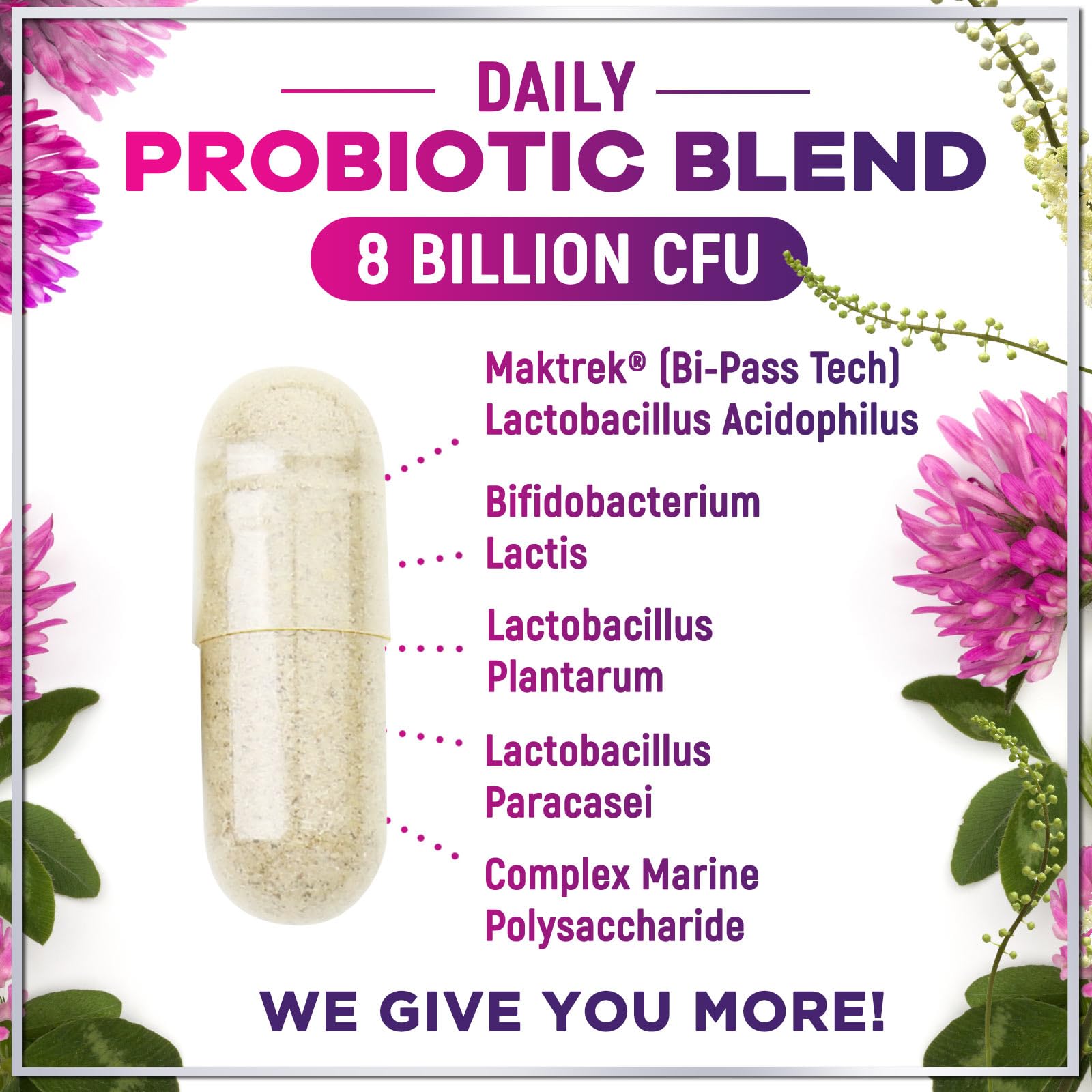 Menopause Supplements for Women - Complete Hot Flash Night Sweats & Menopause Relief Pills, 8 Billion CFU Probiotics with Dong Quai & Black Cohosh for Vaginal, Digestive Support - 60 Capsules - Maple Wellness Supplements
