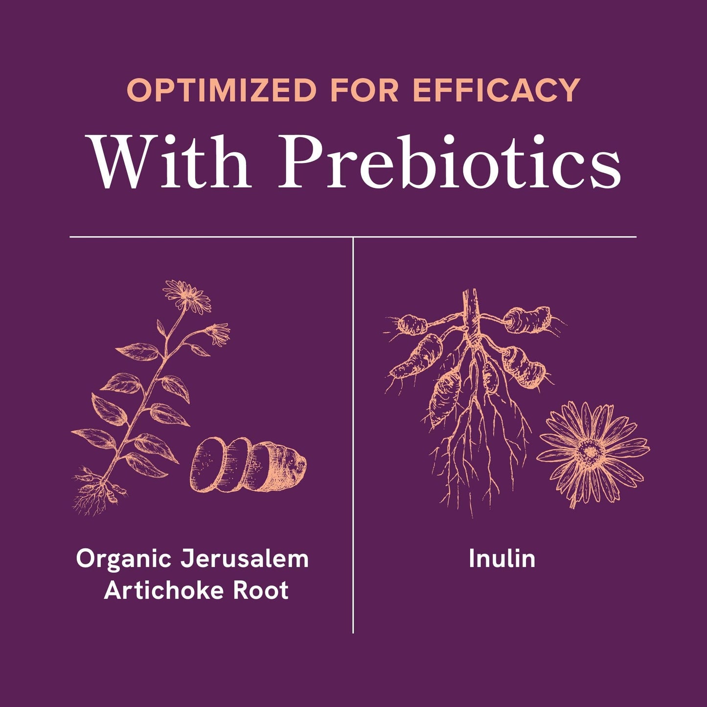 Menopause Support with Prebiotics and Probiotics for Women | Hormone Balance, Hot Flashes & Night Sweats | 50 Billion CFU, DIM & Black Cohosh | Triple Action Menopause Supplements for Women | 30 Ct - Maple Wellness Supplements
