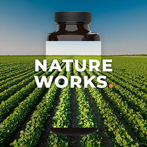 Metabolism - Weight Control Support & Energy Boosting Supplement - Natural Appetite - Maple Wellness Supplements