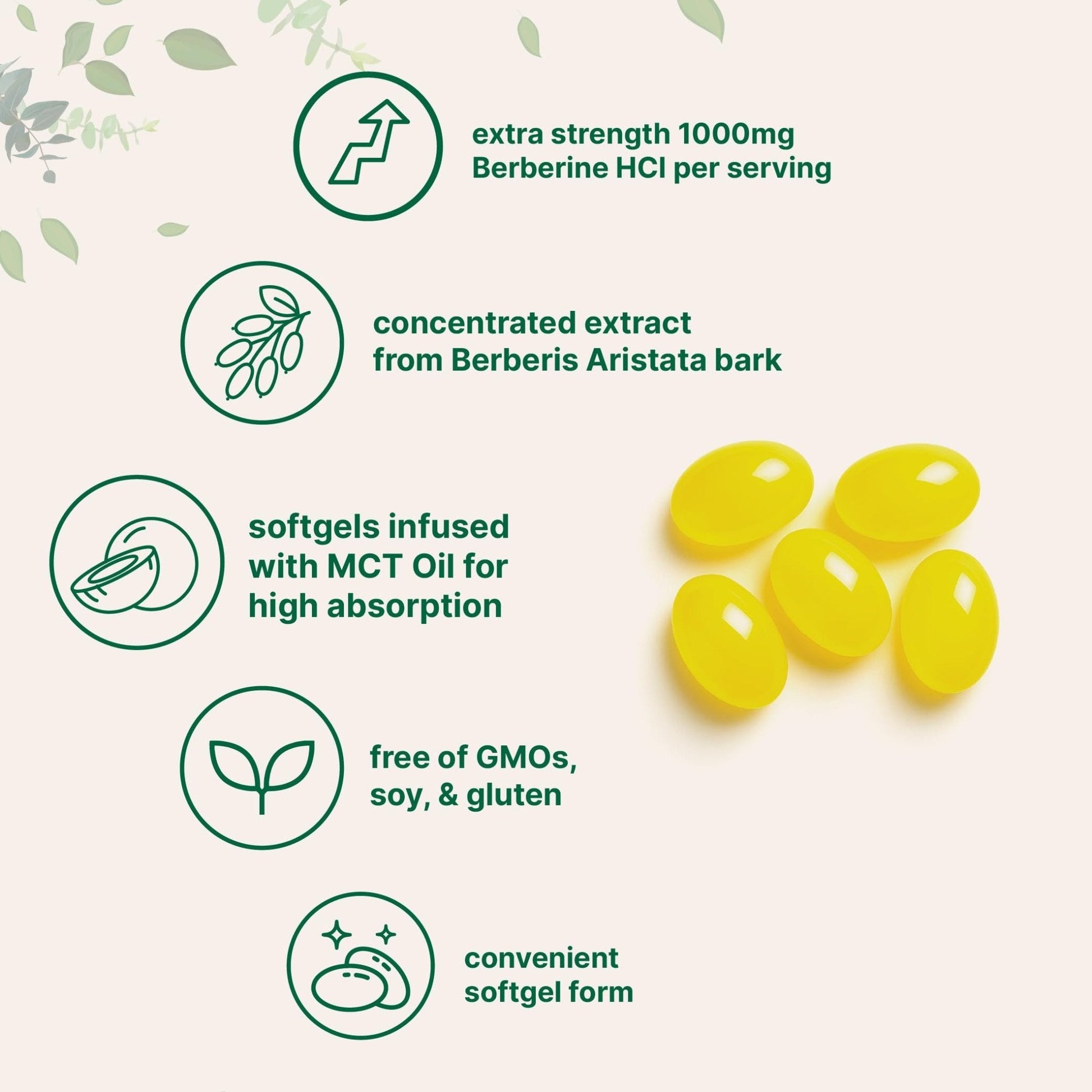 Micro Ingredients 1000mg with MCT Oil, 240 Softgels | Highly Bioavailable Formula with Berberine HCI from Aristata - Maple Wellness Supplements