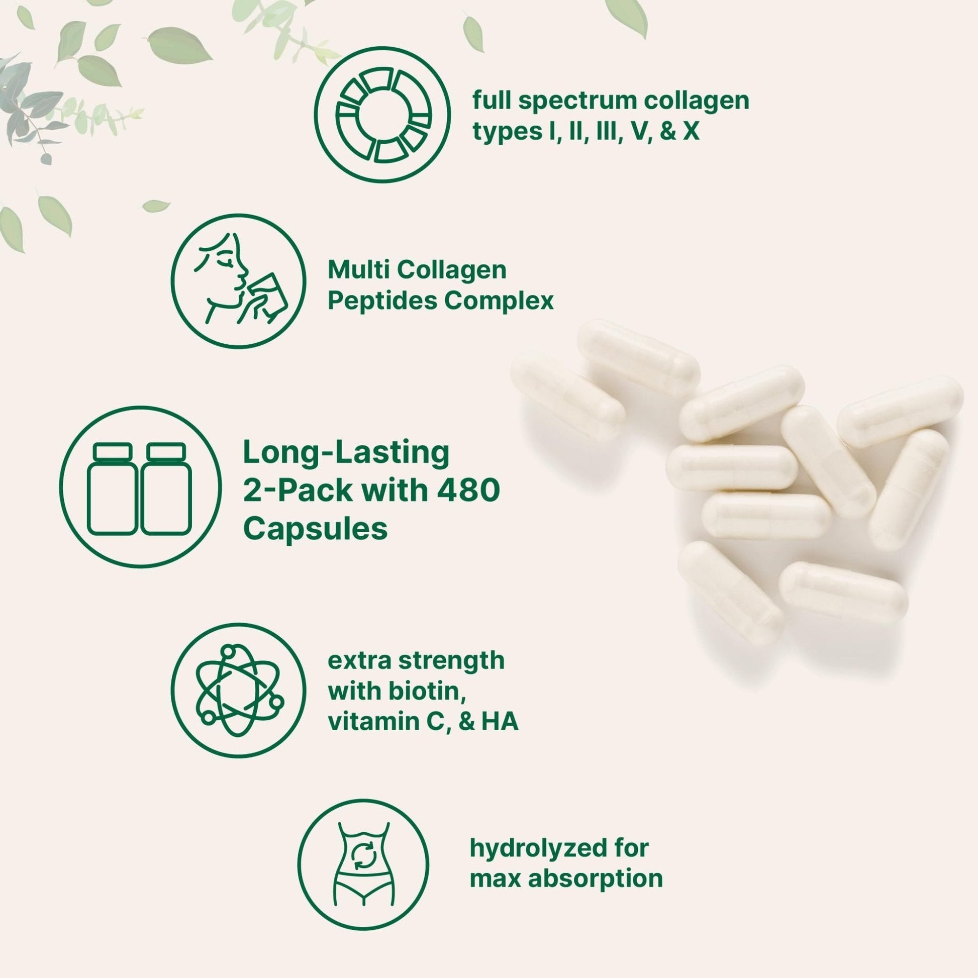 Micro Ingredients 2 Pack Multi Collagen Pills for Women & Men, 480 Capsules | Type I, II, III, V, X | Hydrolyzed Protein Peptides with Biotin, Hyaluronic Acid, & Vitamin C | Keto & Paleo Friendly - Maple Wellness Supplements
