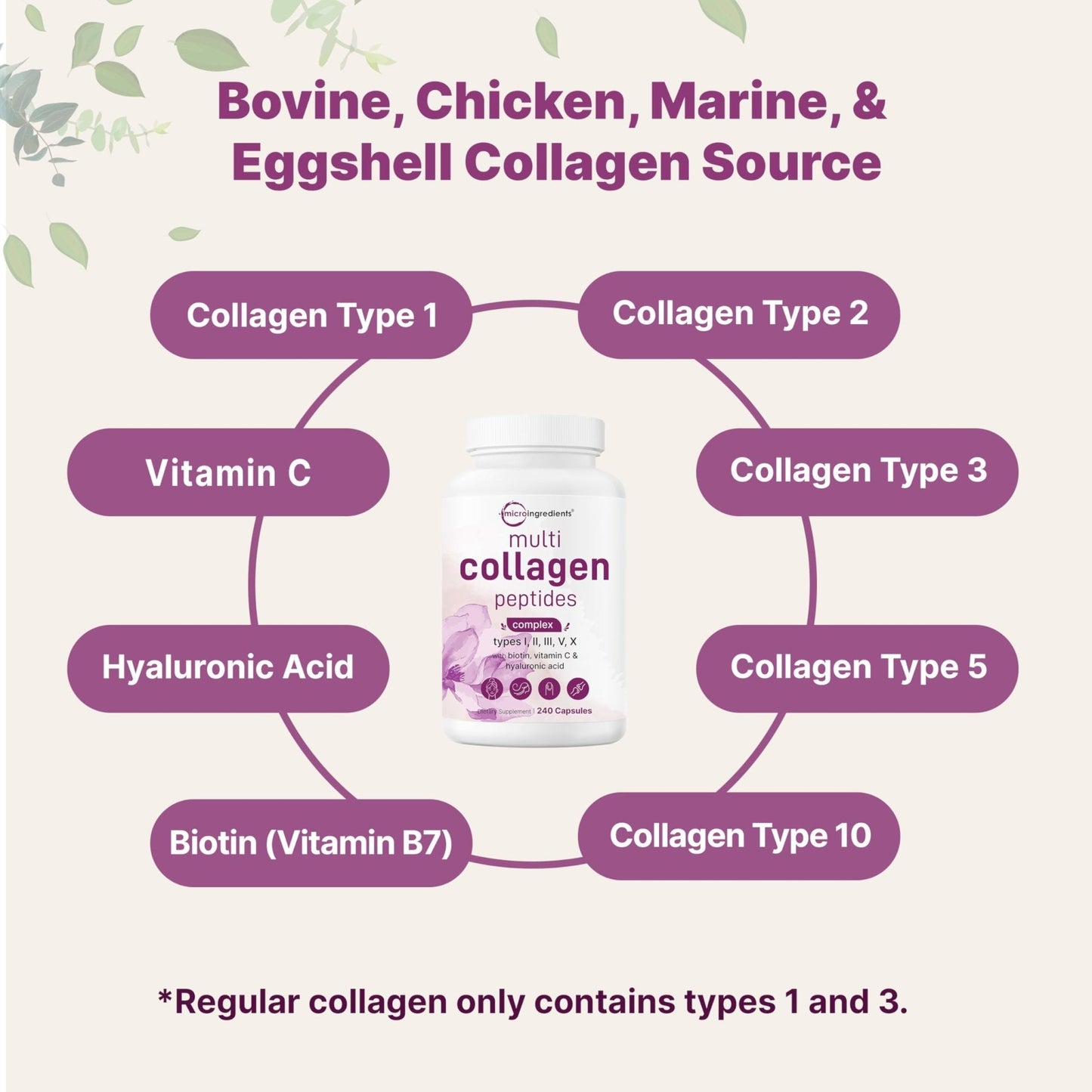 Micro Ingredients 2 Pack Multi Collagen Pills for Women & Men, 480 Capsules | Type I, II, III, V, X | Hydrolyzed Protein Peptides with Biotin, Hyaluronic Acid, & Vitamin C | Keto & Paleo Friendly - Maple Wellness Supplements