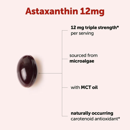 Micro Ingredients Astaxanthin 12mg with MCT Oil, 120 Softgels, 4 Month Supply | Premium Astaxanthin Antioxidant Supplements* | Fresh Microalgae Source - Maple Wellness Supplements