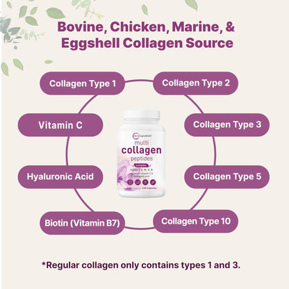 Micro Ingredients Multi Collagen Pills for Women & Men, 240 Capsules | Type I, II, III, V, X | Hydrolyzed Peptides with Biotin, Hyaluronic Acid - Maple Wellness Supplements